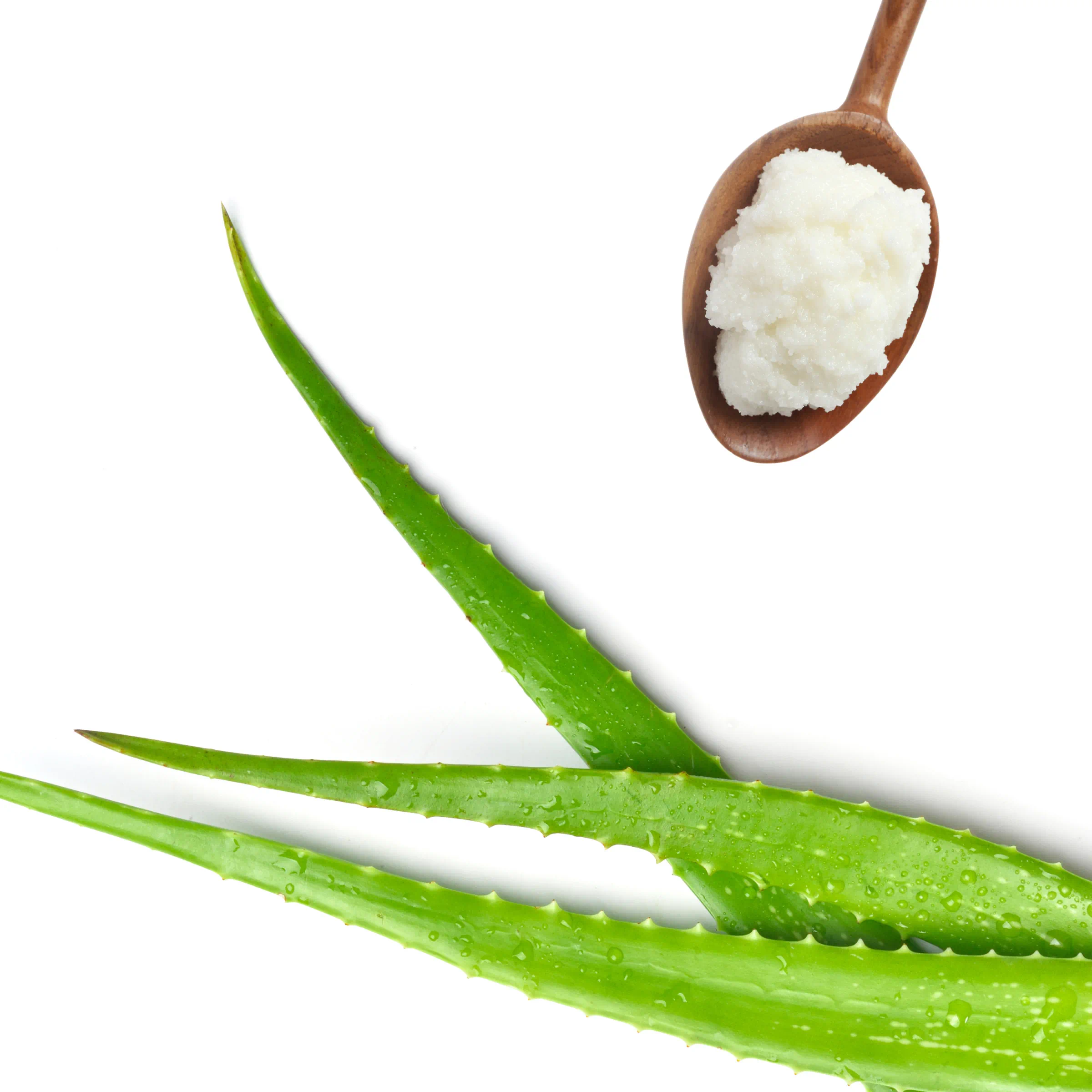 Bevel Shave Cream - Image 5